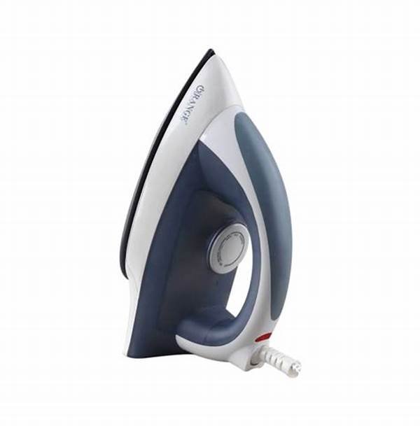 BPL DRY IRON BDIP11011